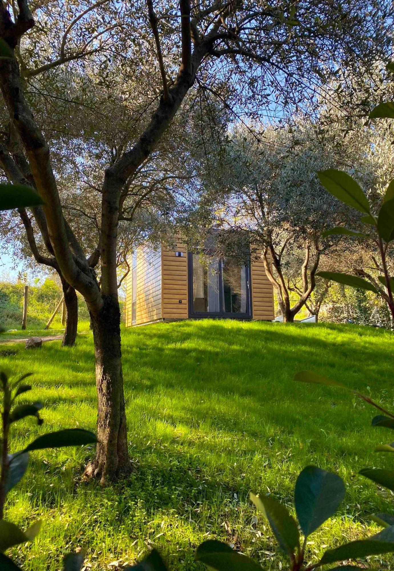 Seregner Agricamping & Homes - Adults Only 18 Monzambano Exterior foto