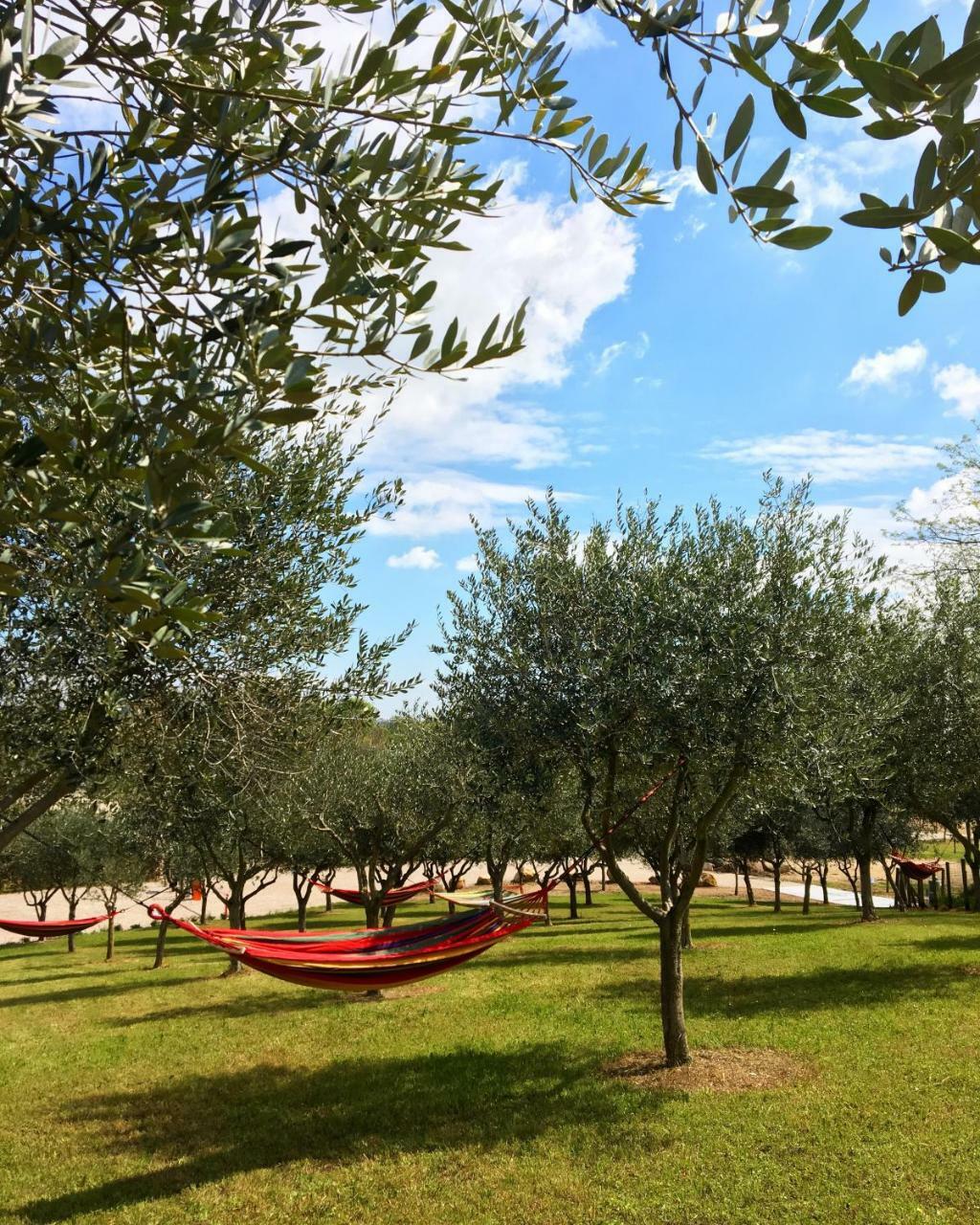 Seregner Agricamping & Homes - Adults Only 18 Monzambano Exterior foto